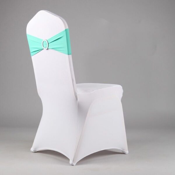 Chair Sashes With Buckle - Mint